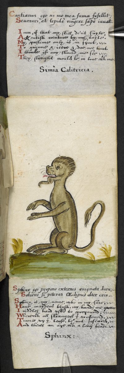 Adja hozzá az MS 57312 f.14 játékkönyvet (tinta és színes pergamen) alkotó: English School
