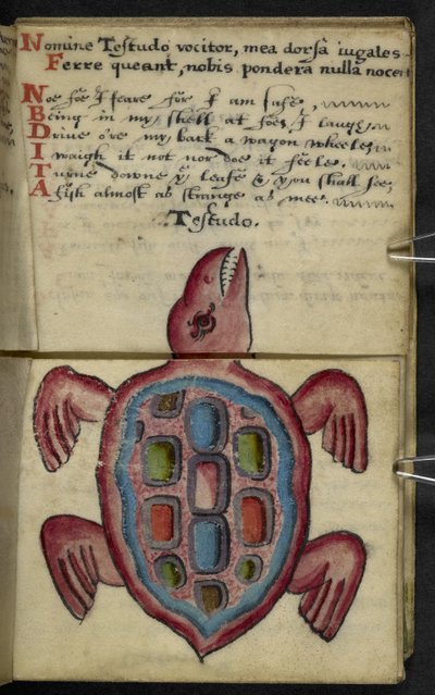 Adja hozzá az MS 57312 f.5 játékkönyvet (tinta és szín a pergamen) alkotó: English School