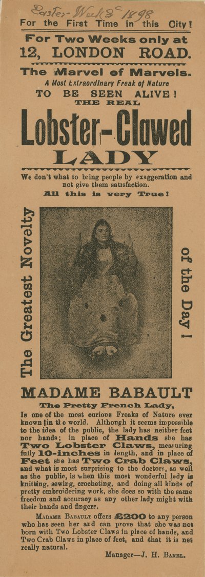 Madame Babault, a homárkarmos hölgy megjelenésének hirdetése alkotó: English School