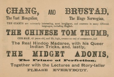 Chang, Brustad, The Chinese Tom Thumb és The Midget Adonis megjelenésének hirdetése alkotó: English School