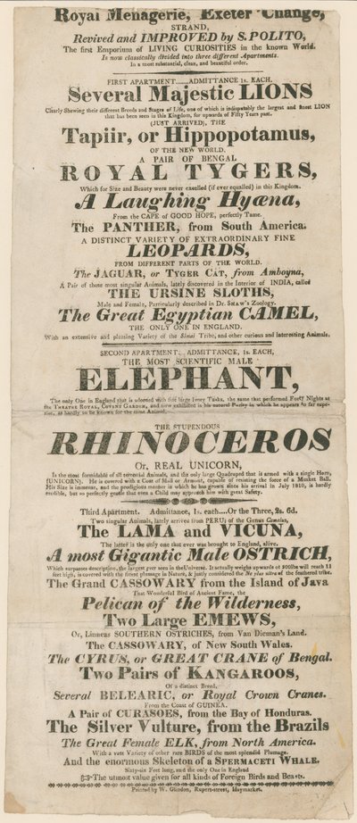 A Royal Menagerie, Exeter Change hirdetése alkotó: English School