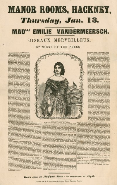 Reklám Mademoiselle Emile Vandermeersch (Oiseaux Merveilleux) megjelenéséhez a Manor Rooms-ban, Hackney, London alkotó: English School
