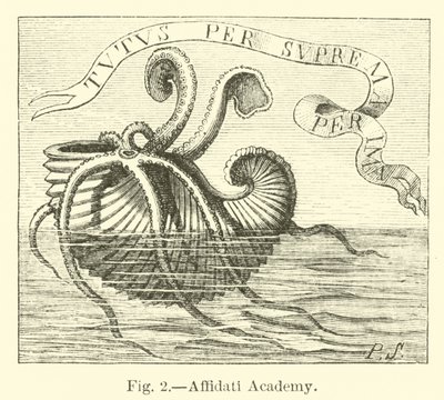 Affidati Akademie von English School