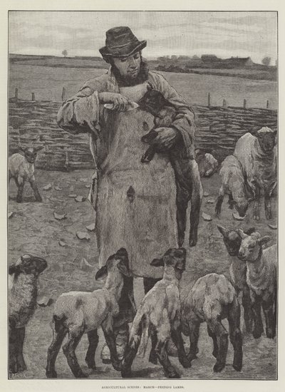 Mezőgazdasági jelenetek, március, bárányok etetése (metszet) alkotó: English School