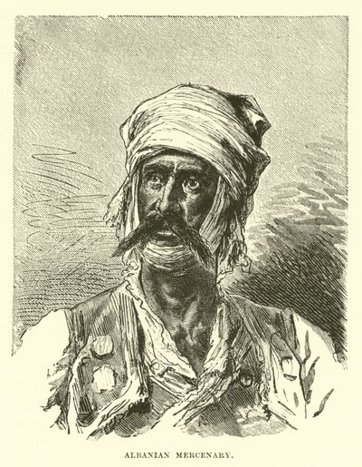 Albán zsoldos alkotó: English School