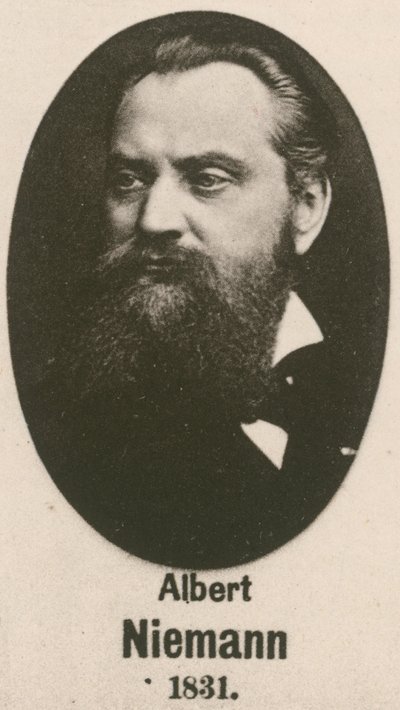 Albert Niemann (metszet) alkotó: English School