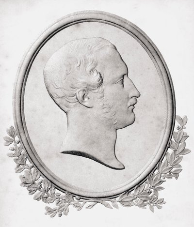 Albert, Nagy-Britannia és Írország hercegi hitvese, C. Chabot metszete, Lord Brougham és mások „Old England