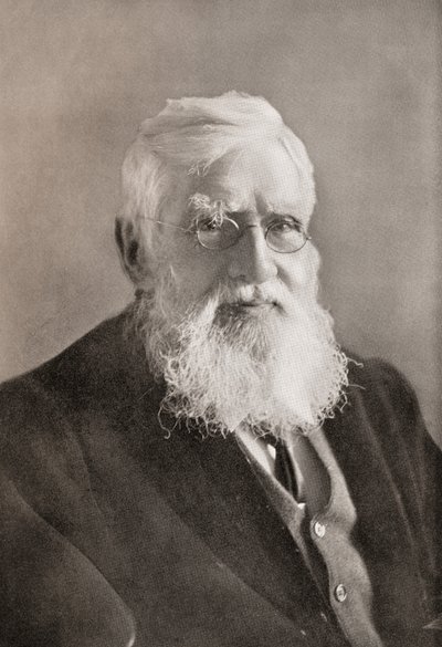 Alfred Russel Wallace, "Az év"-ből alkotó: English School