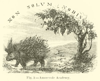 Szerető Akadémia alkotó: English School