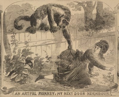 „An Artful Monkey, My Next Door Neighbour”, illusztráció az „Illustrated Police News”-ból, 1872. augusztus 24. (litho) alkotó: English School