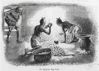 Egyiptomi tojássütő kemence (metszet) alkotó: English School