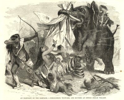 Egy elefánt tombol alkotó: English School