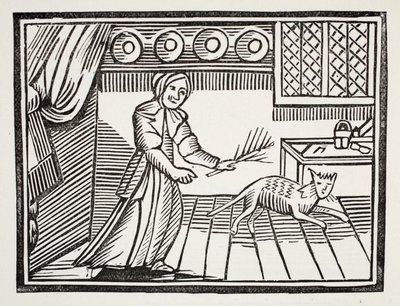 Egy idős nő, aki a macskáját korbácsolja, hogy egereket fogjon vasárnap, illusztráció a Chap-books of the Eightenth Century-ből, John Ashton, pub. 1882 alkotó: English School