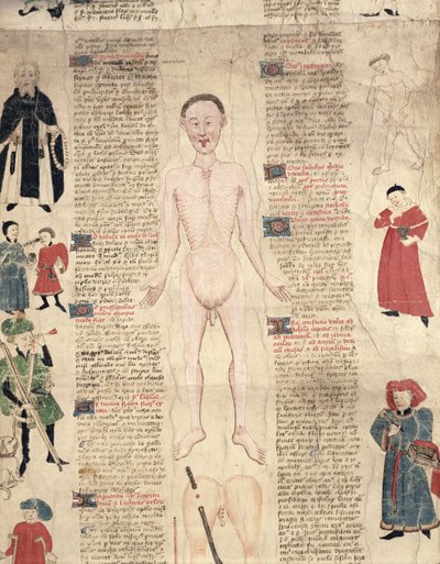 Anatómiai diagram, John Ardene De arte phisicali e de cirugia című művéből, 1412 alkotó: English School