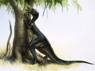 Anatosaurus alkotó: English School