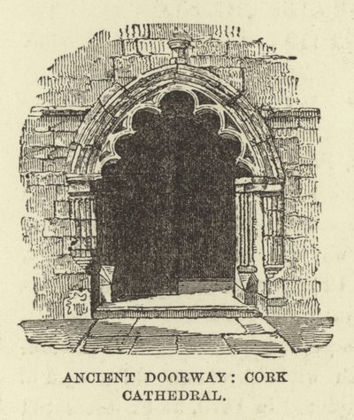 Ősi ajtó, Cork katedrális alkotó: English School
