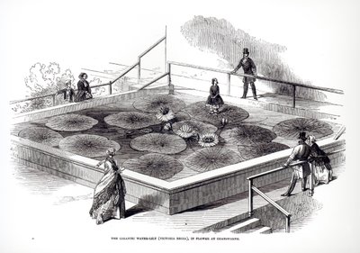 Annie Paxton a Victoria regia tavirózsán a chatsworthi Nagy Konzervatóriumban, 1849 alkotó: English School