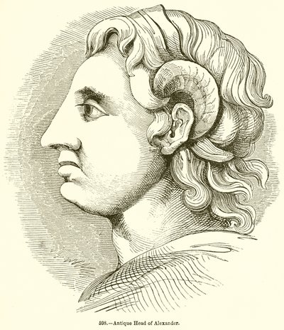 Sándor antik feje alkotó: English School