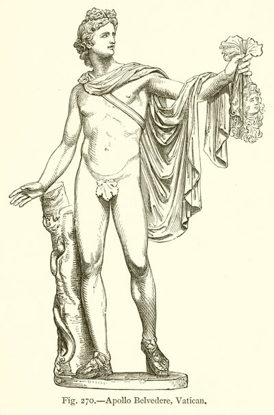 Apollo Belvedere, Vatikán alkotó: English School