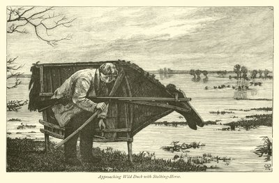 Vadkacsa közeledve Stalking-Horse-val alkotó: English School