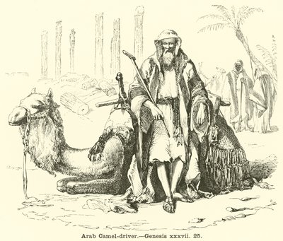 Arab Camel-sofőr, Genesis, xxxvii, 25 alkotó: English School