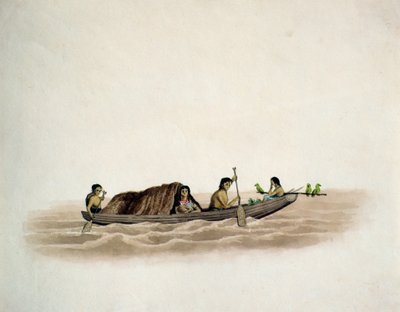 Arawak Indian-Demerara (wc papíron) alkotó: English School