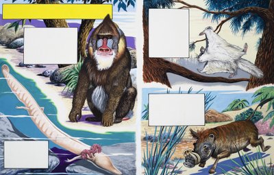 Válogatott állatok alkotó: English School