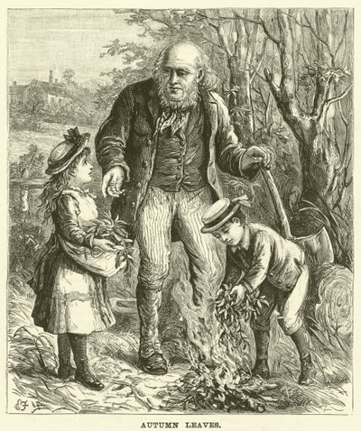 Őszi levelek (metszet) alkotó: English School