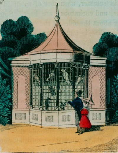 Madárház papagájok és kakadu számára a londoni állatkertben. 1840-es évek alkotó: English School