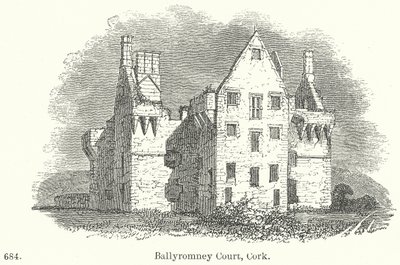 Ballyromney Court, Cork (metszet) alkotó: English School