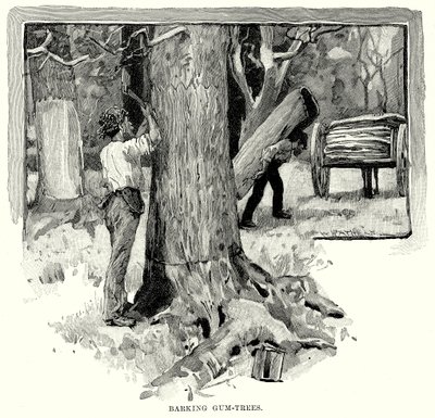 Barking Gum-Trees (metszet) alkotó: English School