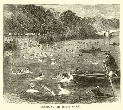 Fürdés a Hyde Parkban alkotó: English School