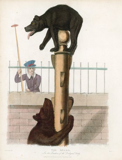 Bear Pit, London Zoological Gardens, Regents Park alkotó: English School
