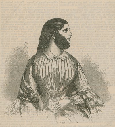 Szakállas hölgy alkotó: English School