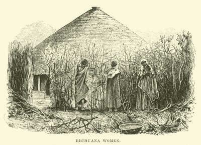 Bechuana nők alkotó: English School