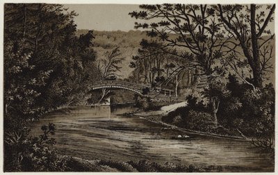 Koldushíd, Whitby közelében (litho) alkotó: English School