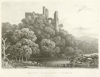 Berry Pomeroy kastély, Devonshire (metszet) alkotó: English School
