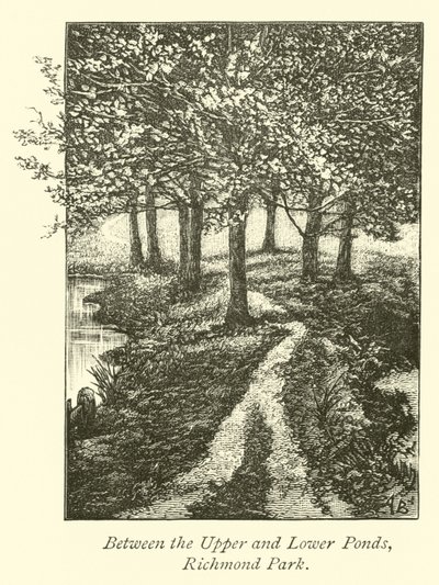 A felső és alsó tavak között, Richmond Park alkotó: English School