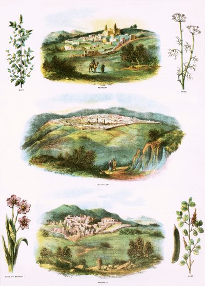 Bibliai illusztrációk alkotó: English School