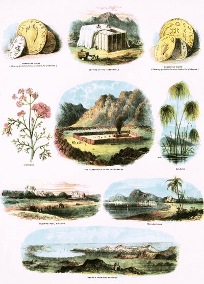 Bibliai illusztrációk alkotó: English School