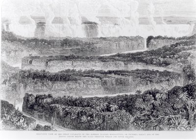 Madártávlat a zambesi nagy szürkehályogról (Victoria-vízesés) a Zambesi és mellékfolyói című kiállítás elbeszéléséből, 1865-ben alkotó: English School