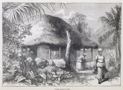 Black Habitations, Samuel Hazard „Santo Domingo múltja és jelene” című könyvéből, pub. 1873-ban (metszet) alkotó: English School