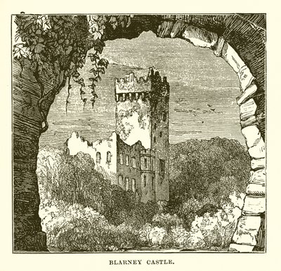 Blarney kastély alkotó: English School