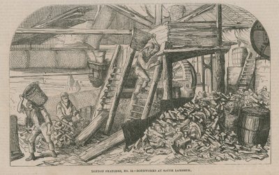 Knochenwerke in South Lambeth von English School