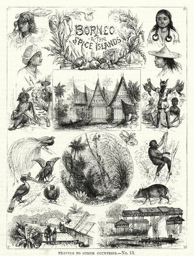Borneo és a Fűszer-szigetek (metszet) alkotó: English School