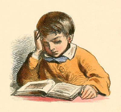 Olvasó fiú alkotó: English School