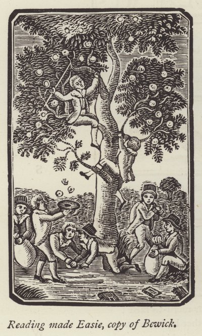 Almát szedő fiúk (metszet) alkotó: English School