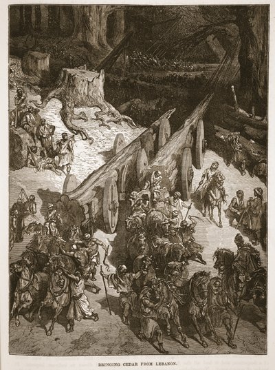 Cédrust hoznak Libanonból alkotó: English School