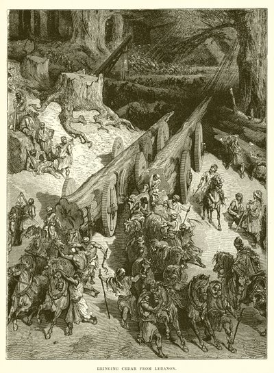 Cédrust hoznak Libanonból alkotó: English School