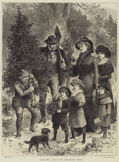 A karácsonyfa hazahozása (metszet) alkotó: English School